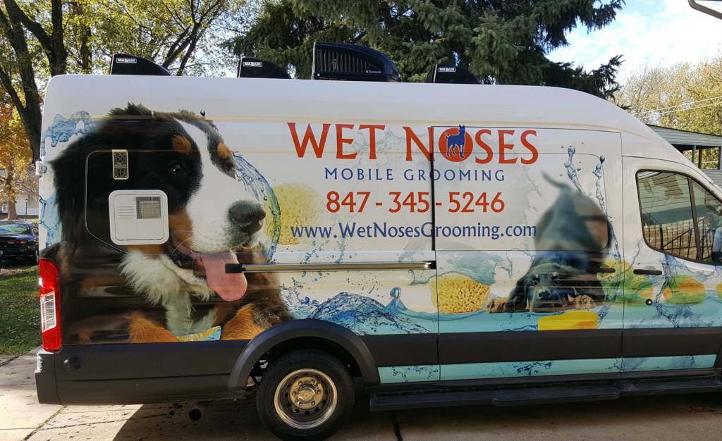 safe pet mobile grooming